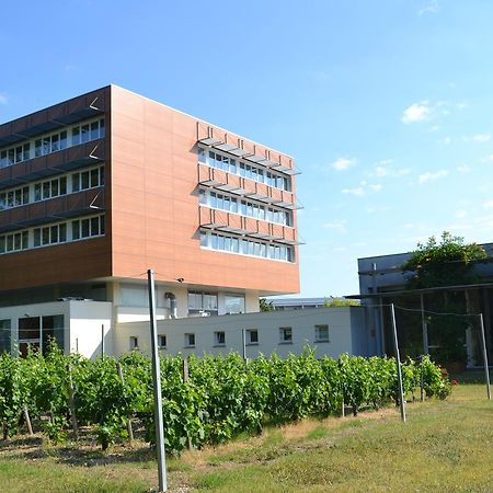 Hotel De Guyenne Talence Dış mekan fotoğraf