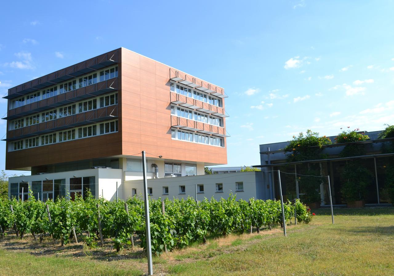 Hotel De Guyenne Talence Dış mekan fotoğraf